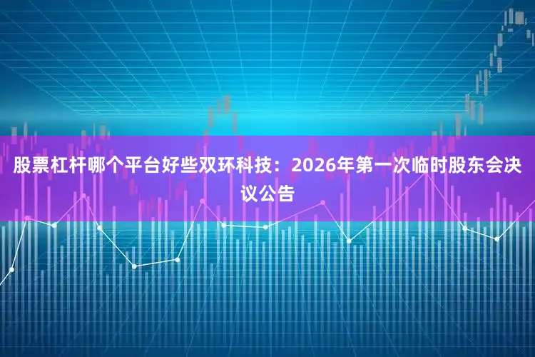 股票杠杆哪个平台好些双环科技：2026年第一次临时股东会决议公告