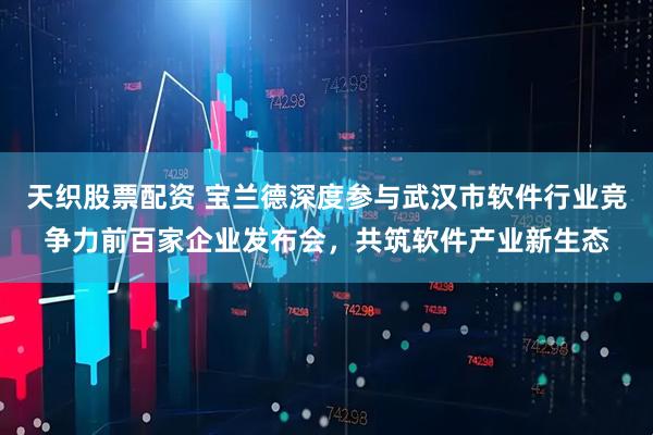 天织股票配资 宝兰德深度参与武汉市软件行业竞争力前百家企业发布会，共筑软件产业新生态