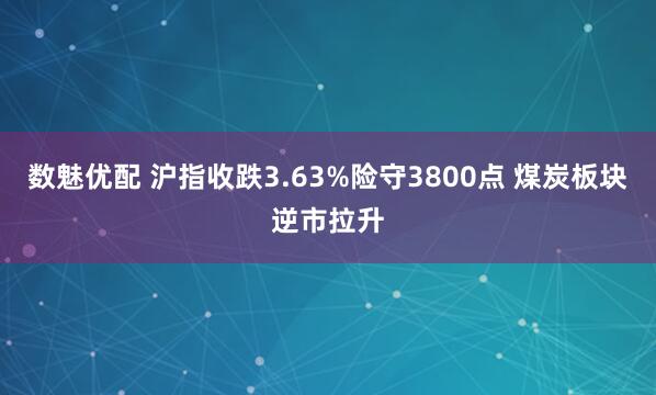数魅优配 沪指收跌3.63%险守3800点 煤炭板块逆市拉升